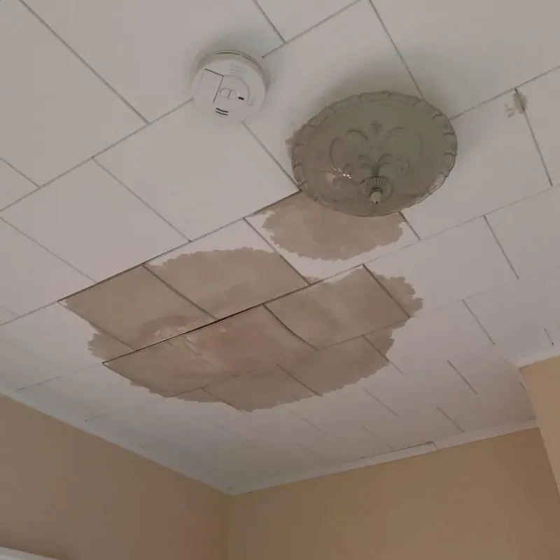 Ceiling Water Damage Repair in Coke County, TX